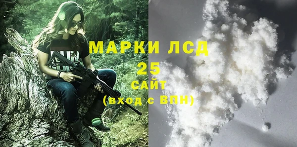 шишки Балахна