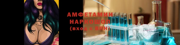 шишки Балахна