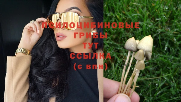 соль ск Баксан