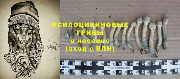 шишки Балахна